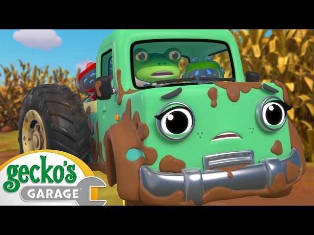 Muddy Maze Mission | Gecko's Garage | Cartoons For Kids | Toddler Fun Learning
