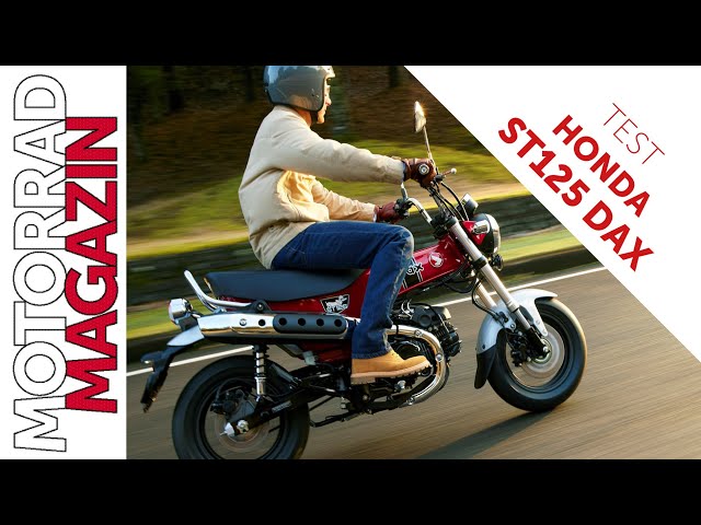 Honda ST125 Dax Test – Peters neuer Lieblings-Dackel? Die Monkey als Zweisitzer.