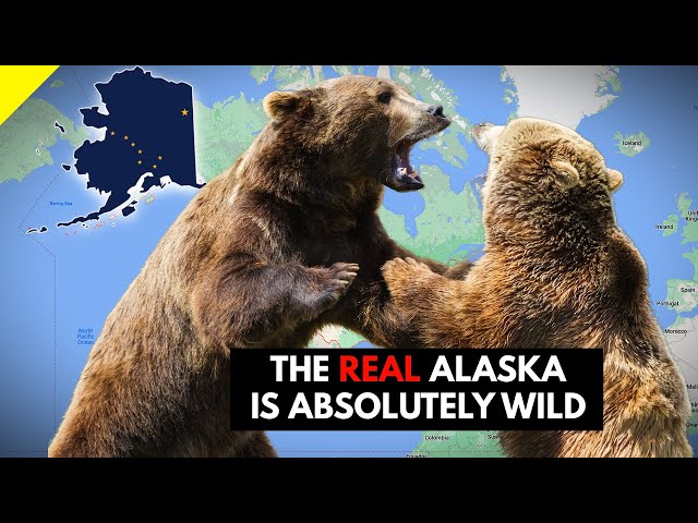 15 Must-Visit Cities and Sights in Alaska