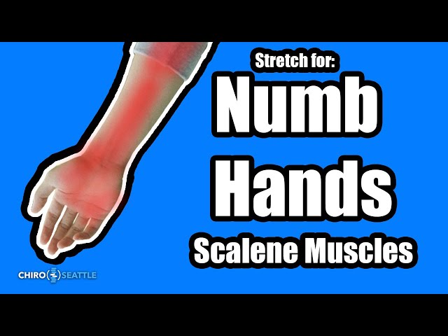 Stretches for Numb Arms and Hands - Anterior Scalene - Exercise instruction