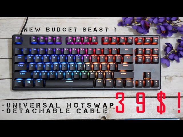 A universal hotswap mechanical keyboard for just 39$ - Vortexseries VX7 Pro (Outemu Red)