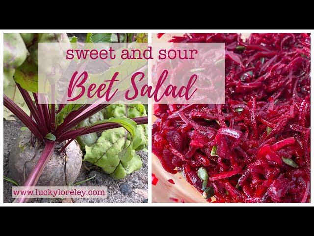 Beet Salad sweet and sour with a crunch