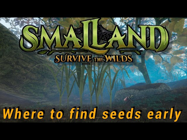 Seed location for the early game. (Smalland)