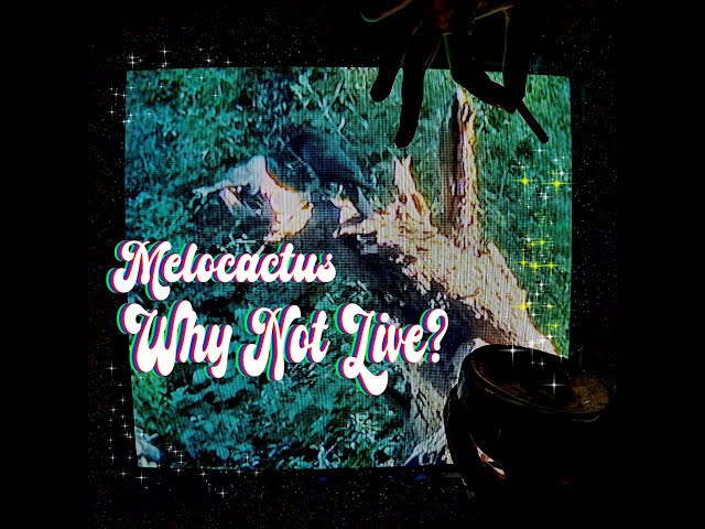 Melocactus - Why Not Live? (Full Album)