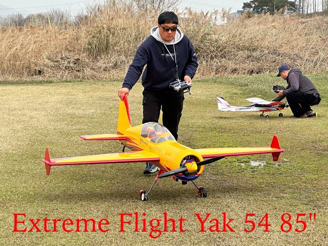 Extreme Flight Yak 54 85"