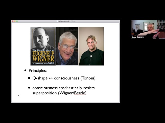David Chalmers, Kelvin McQueen - "Consciousness and the Collapse of the Wave Function"