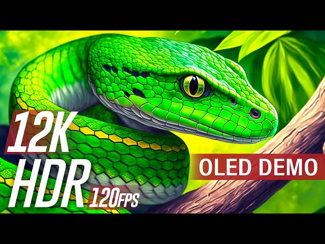 Color Burst Dolby Vision HDR 12K 120fps (OLED DEMO)