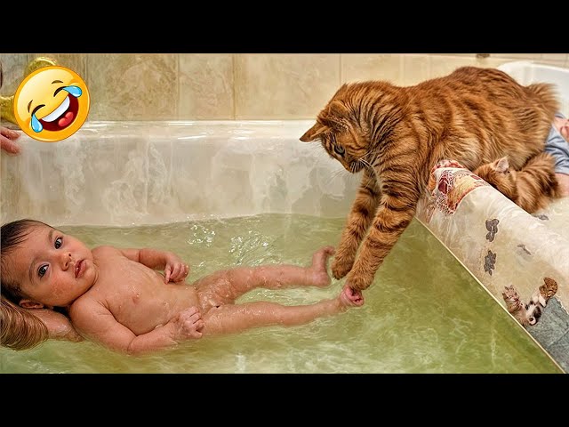 When a silly Cat becomes your best friend😿🐶The funniest animals and pets 😜Part 24