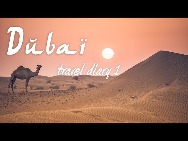 Dubai Travel Diary #1