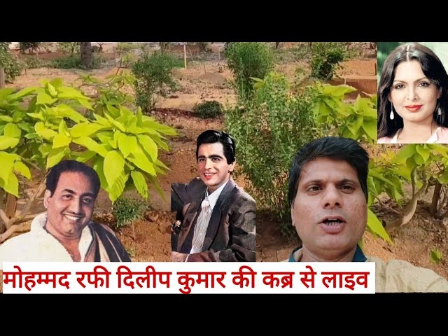 मोहम्मद रफी और दिलीप कुमार ( युसूफ खान ) और परवीन बॉबी की कब्र से लाइव viral #viral Arif Rk vlogs