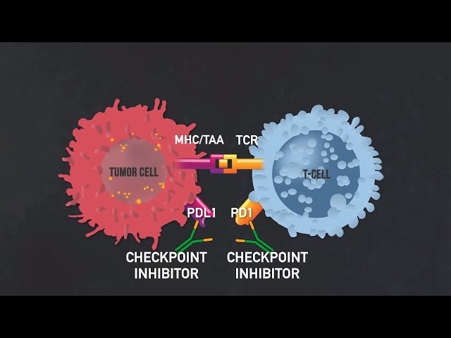 Introduction to Immunotherapy (Immunotherapy Documentary Part I)