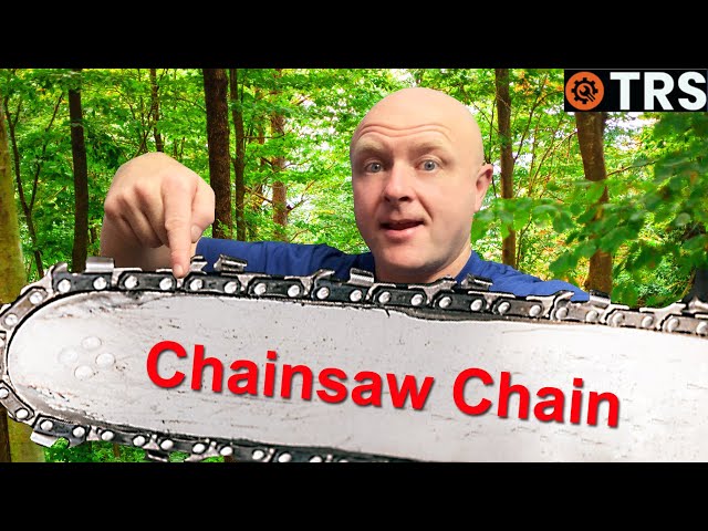 What Chainsaw Chain Do I Need? - HOW TO GET CORRECT CHAIN!