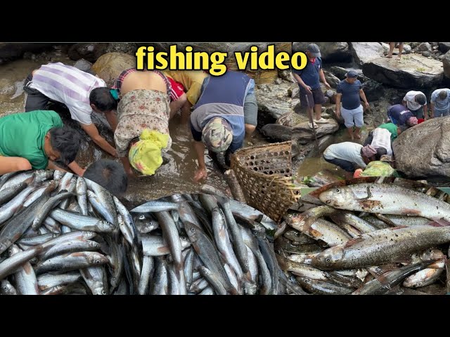 Traditional fishing style in Nepal!#fishing #fishingvideo #fish #fishcurry #villagelife #rurallife