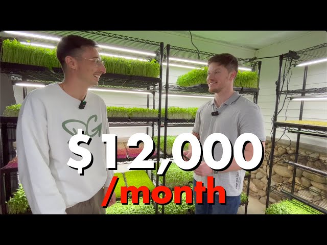 How He Turned $1k Into $12k/ Month from Microgreens (Local CEO Show Ep. 03 Donny Greens)