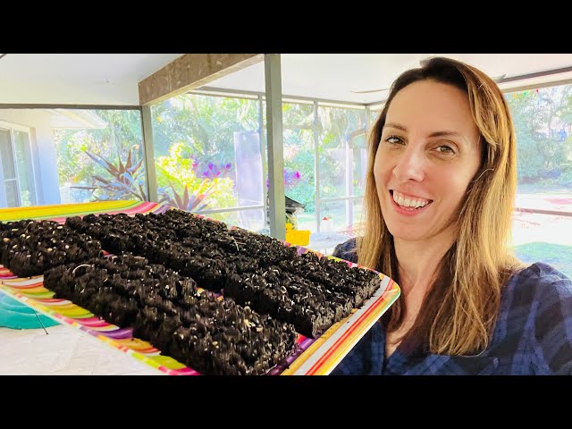 SOIL BLOCKS: Trying a New Vegetable Seed Starting Method
