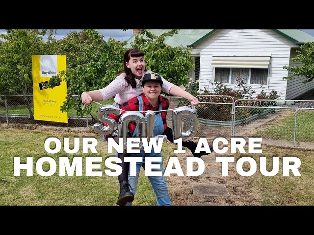 Our new 1 acre homestead!  Outside tour!  And our first animals join us!