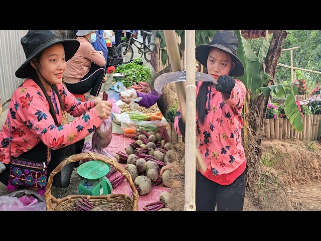 Completing Your Bamboo Fence + Top Red Radish Recipes | Sung A Pao
