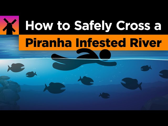 How to Safely Cross a Piranha Infested River