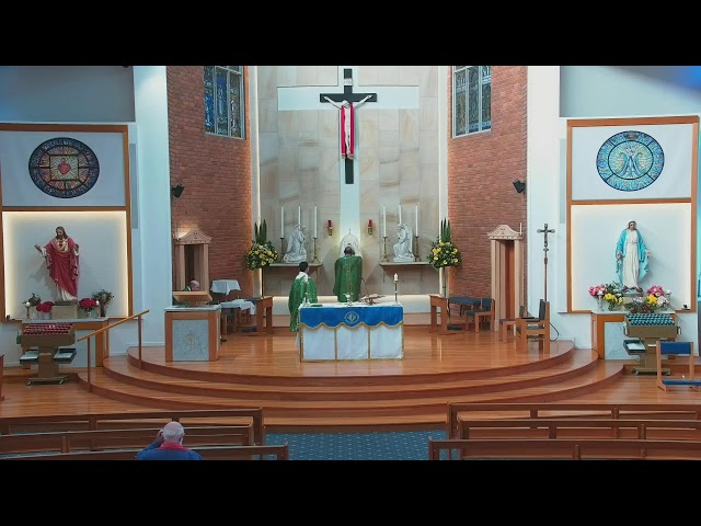 Catholic Mass for 8th week of Ordinary Time - 28 May - 8am