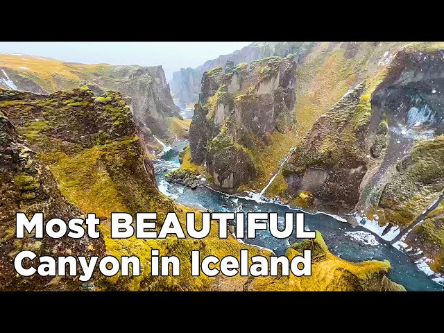 Why Fjaðrárgljúfur Is A Must Visit in Iceland!