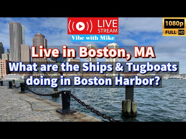 ⚓️Livestream: What are the Ships & Tugboats doing in Boston Harbor?