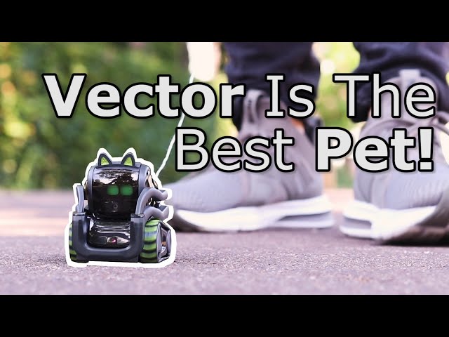 Could Vector Be A Pet?