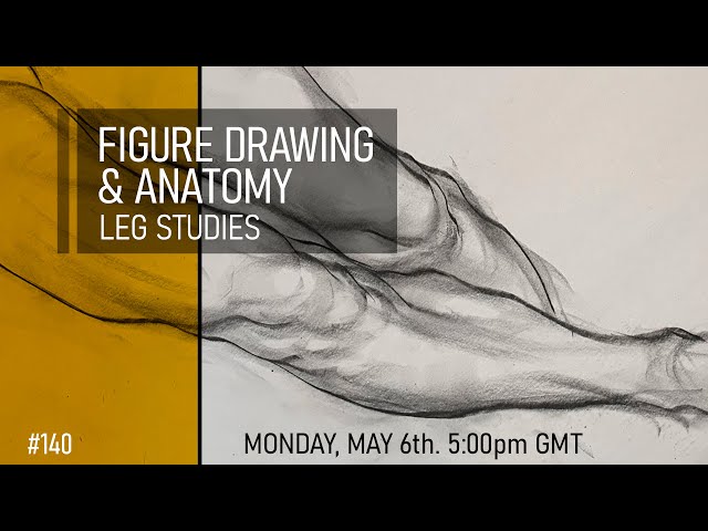 Figure Drawing & Anatomy - Leg Studies #140