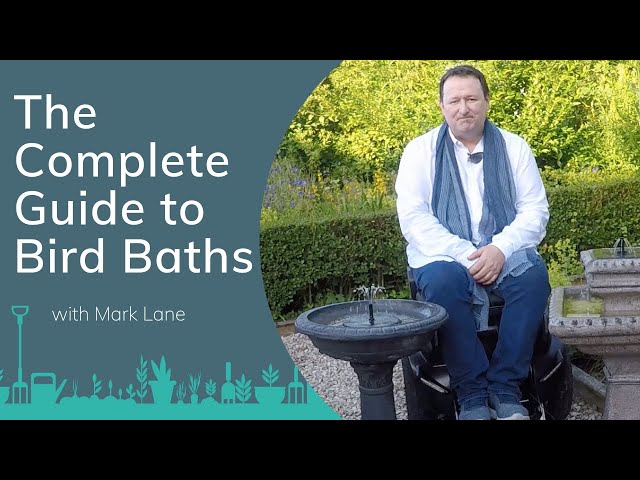 A Complete Guide to Bird Baths with Mark Lane | PrimroseTV