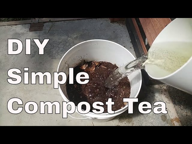 Make Your Own SIMPLE Compost Tea