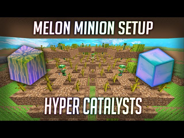 Collecting 2 Days of T11 Melon Minions w/ Hyper Catalysts (Farming XP, Mining XP, Profit/Loss)