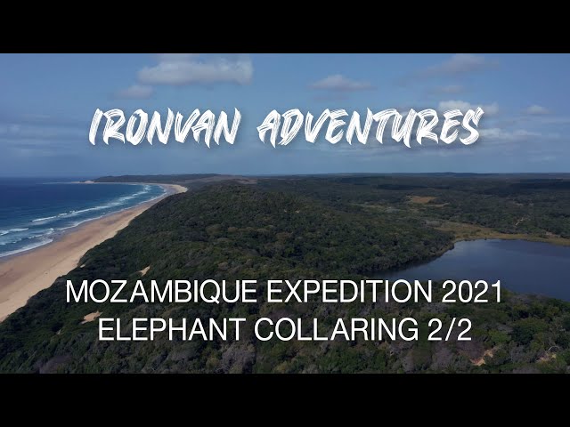 Mozambique Ep4 Elephant Collaring Part 2 - "Ironvan" Adventures with Wild Wonderful World