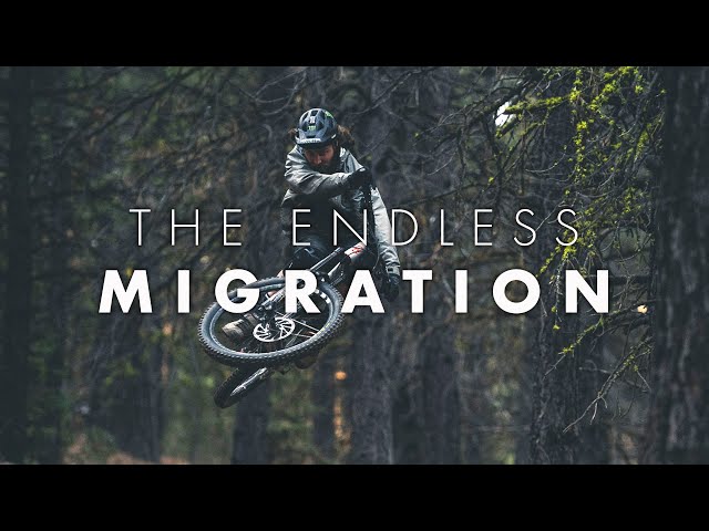 Graham Agassiz // The Endless Migration