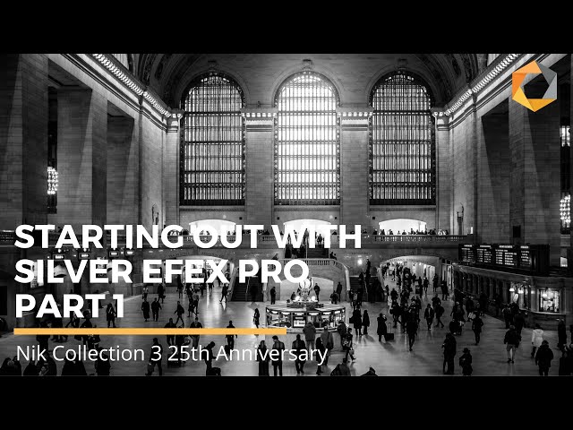 The Basics of Starting Out With Silver Efex Pro — Part 1