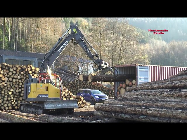 "Ein Wald geht auf große Reise" Käferholzverladung in Plettenberg