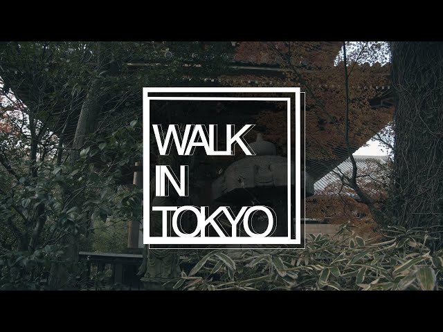 Walk In Tokyo Minato #2