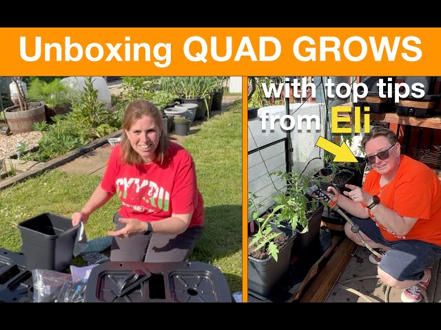 Unboxing Quad Grows and top tips on how to use them