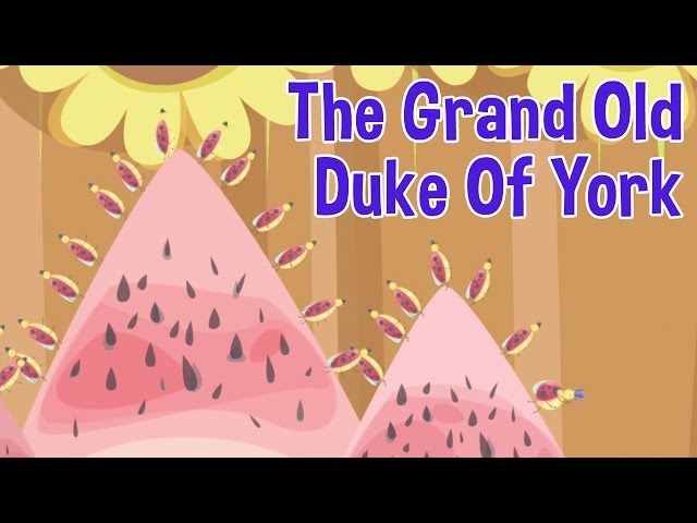 Grand Old Duke of York Nursery Rhyme by Oxbridge Baby