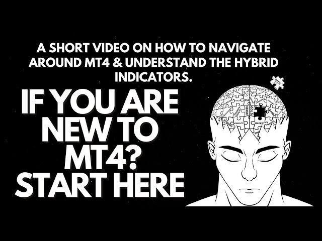 NEW TO MT4? WATCH THIS: HOW TO USE MT4 WITH THE HYBRID SYSTEM?