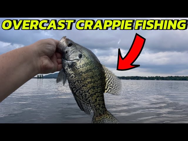 Catching Spawning Crappie in Overcast