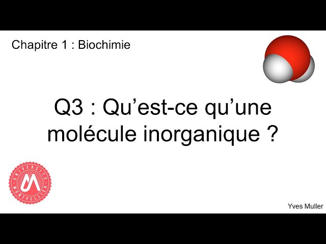 Chapitre 1 : Biochimie - Q3 : Qu'est-ce qu'une molécule inorganique ?