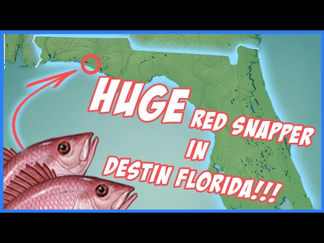 HUGE RED SNAPPER!!! FISHING DESTIN FLORIDA! AMERICAN SPIRIT | WET THAT LINE