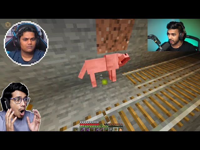 When gamers killed there pet accidentally in Minecraft 🔴 techno gamerz, live Insaan,bbs,fleet,smarty
