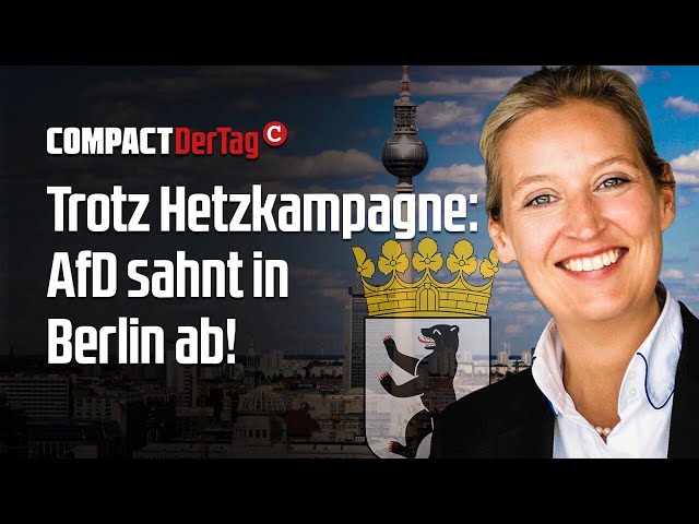 Trotz Hetzkampagne: AfD sahnt in Berlin ab!💥