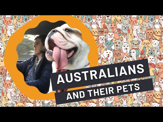 Australians and their pets: What the research says