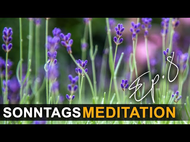 Geführte Meditation - Sonntags Meditation Episode 8