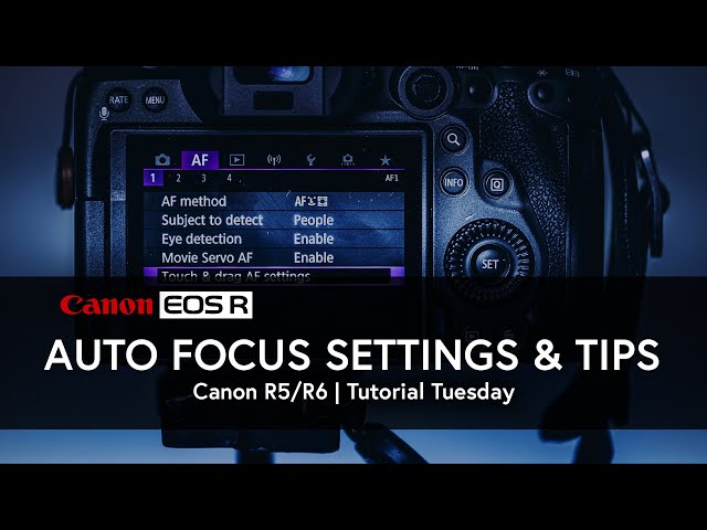 Auto Focus Settings for Canon EOS R5/R6 | EOS R6
