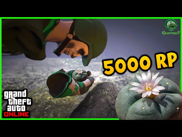 How To Earn 5000 RP Every Minute This Week in GTA Online