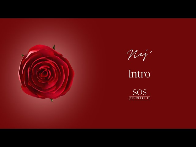NEJ' - Intro (Lyrics Video)