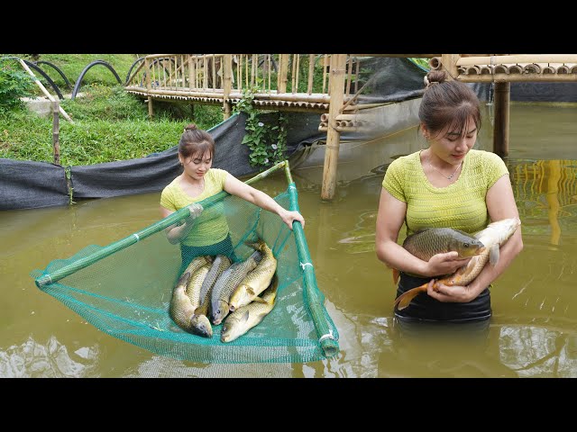 FULL VIDEO: Harvesting Fish, Snails, Bamboo shoot - Grow Mushroom and Distill wine
