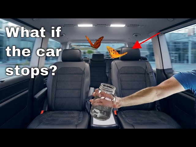 What Happens to a Bug Flying in Your Car When You Slam on Your Brakes?
